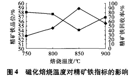 磁化焙燒溫度對精礦鐵指標的影響