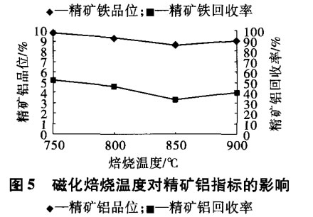 磁化焙燒溫度對精礦鋁指標的影響