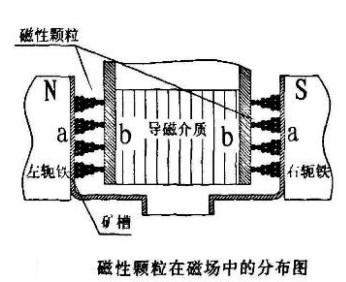 磁性顆粒在磁場(chǎng)中的分布圖